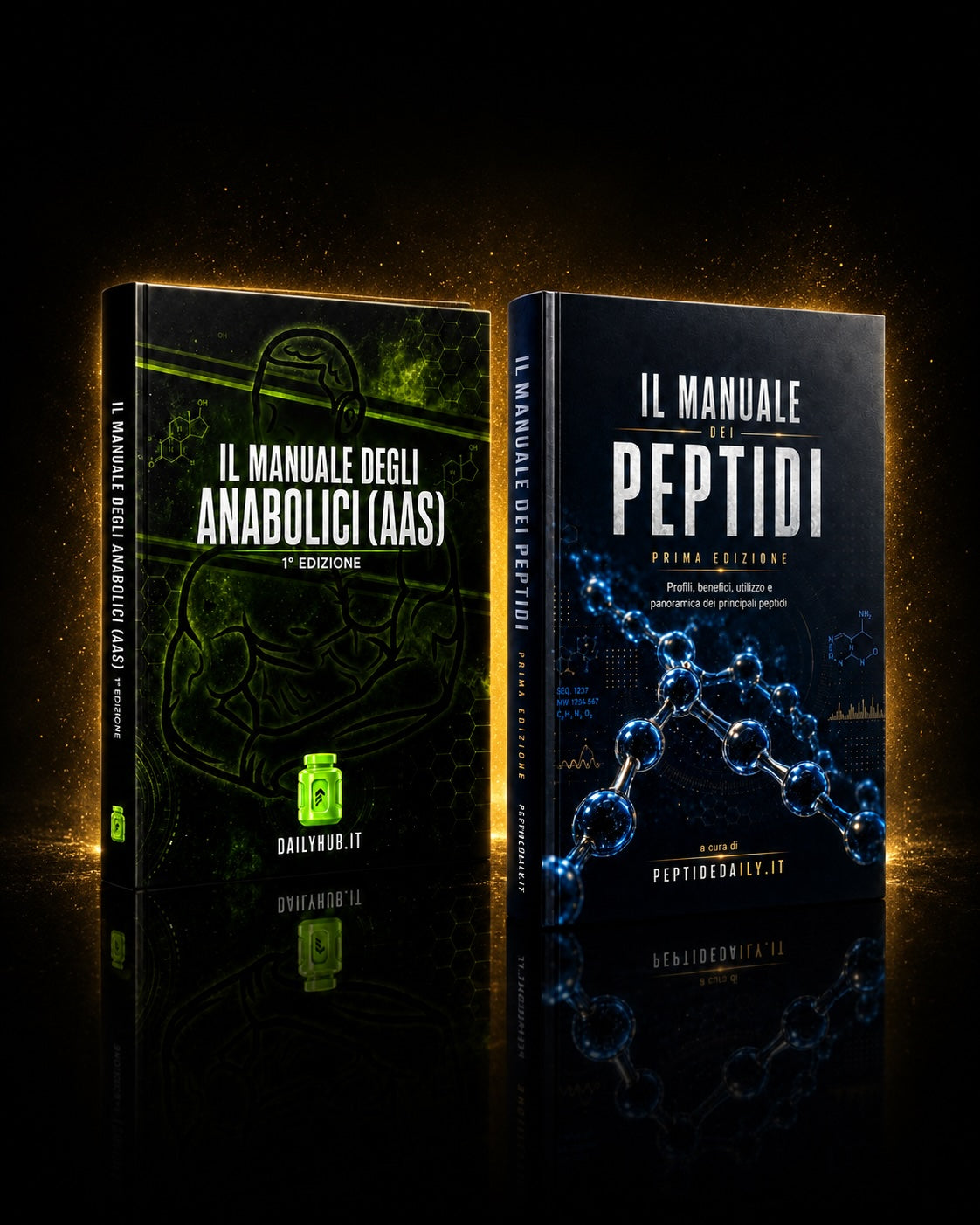 BUNDLE DAILYHUB — TUTTI I MANUALI